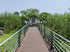 -美兰湖景区