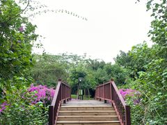 -白沙门生态公园