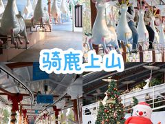 -盈香心动乐园