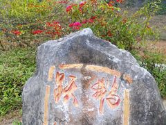 -靖西鹅泉风景区