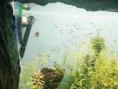 -多彩贵州城极地海洋世界