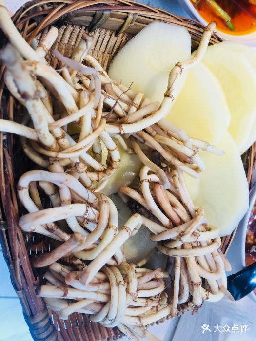 逗牛牛有骨气的火锅(宽窄巷子店)折耳根图片 - 第529张