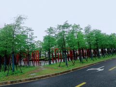 -春花秋色城市公园