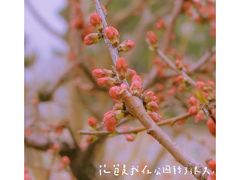 -海棠花溪(元大都城垣遗址公园)