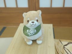 -豆柴町-柴犬主题狗咖(红鼎国际C座店)