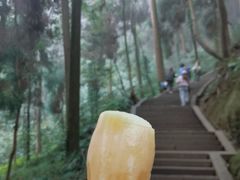 -青城山