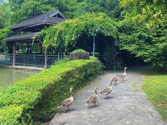 -宁波野生动物园