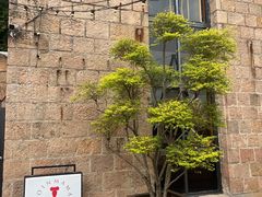 -金鱼妈妈 山野·食趣(荫山街店)