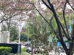 -麦田工坊(月湖店)