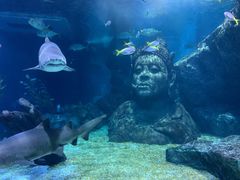 -暹罗海洋世界