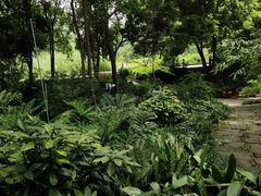 -成都市活水公园