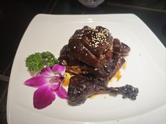 -京悦南门涮羊肉·羊蝎子火锅(田林路店)