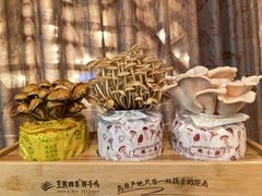 -烹然四季椰子鸡火锅(团结湖总店)