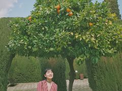 -阿尔罕布拉宫