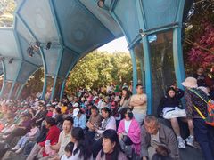 -西双版纳原始森林公园