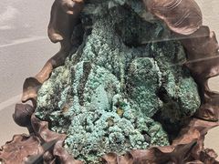 -安徽省地质博物馆