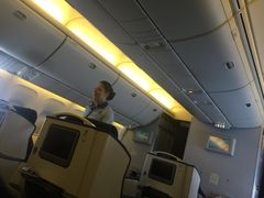 -全日本空输株式会社(上海办事处)