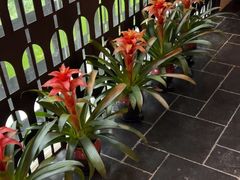 -荷风细雨·中国茶宴(碧云店)