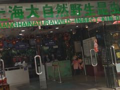 -上海大自然野生昆虫馆(东方明珠·爬宠昆虫探索中心)