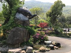 -东海大峡谷