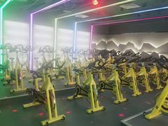 -金吉鸟健身游泳