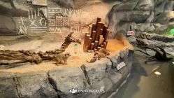 -Zoolung Zoolung动物主题公园(海信广场店)