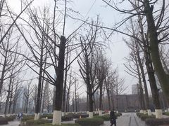-两江幸福广场