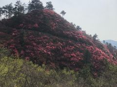 -木兰云雾山