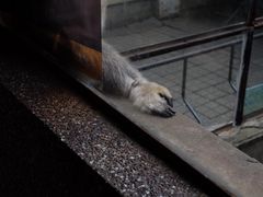 -昆明动物园