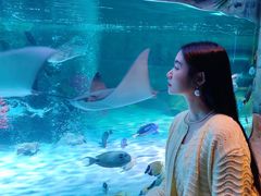 -沈阳海洋探索中心