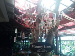 -卷心菜和避孕套餐厅(Pattaya)