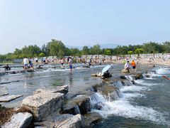 -永定河休闲森林公园