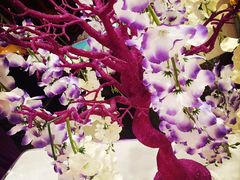 -畅想国度(黄埔店)