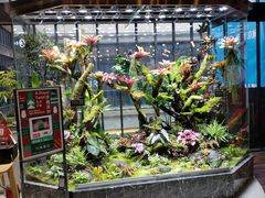 -红星美凯龙北京至尊MALL(东四环中路店)