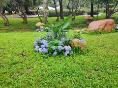 -人民公园(罗湖区)