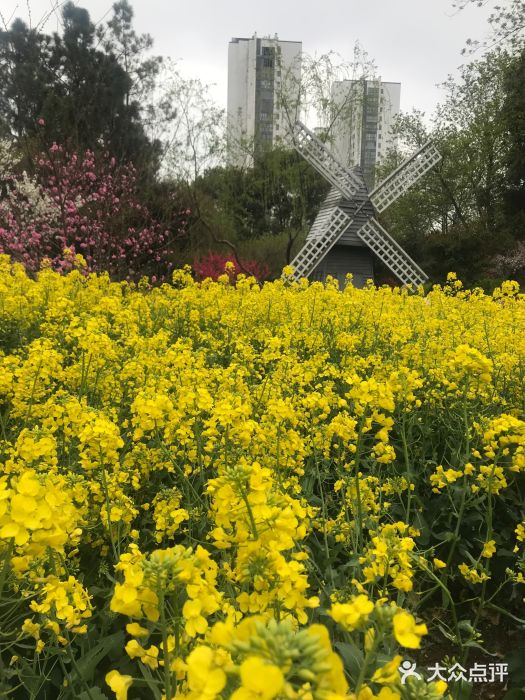 圩墩遗址公园图片