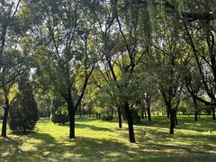 -秦始皇帝陵博物院(兵马俑)