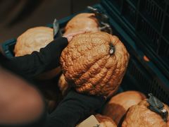 -一坐一忘云南菜(卓悦中心)