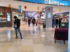 -绚荟城