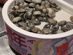 -龍歌自助小火锅(芝罘万达店)