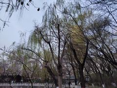 -迎泽公园