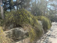 -团结湖公园