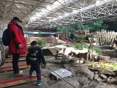 -中国第四纪冰川遗迹陈列馆