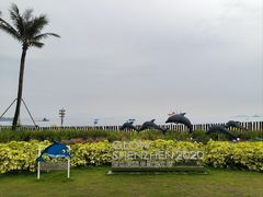 -大梅沙海滨公园