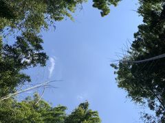 -会稽山峡洞漂流-上青古道