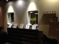 -素颜秀半永久纹眉纹眼线