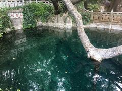 -蝴蝶泉公园