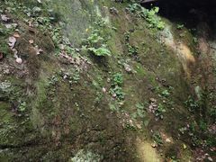 -青竺·青竹茶舍(断桥店)