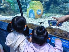 -南昌海洋公园