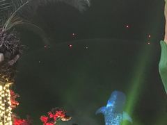 -长隆海洋王国-海洋大街餐厅